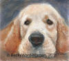 Cockerspaniel Acrylic Painting