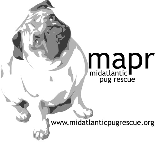 Mid Atlantic Pug Rescue Organization